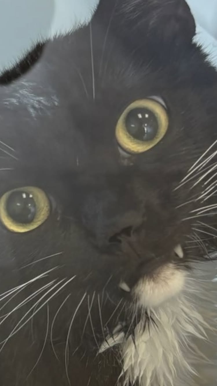 Post by mr.spicyyyyy