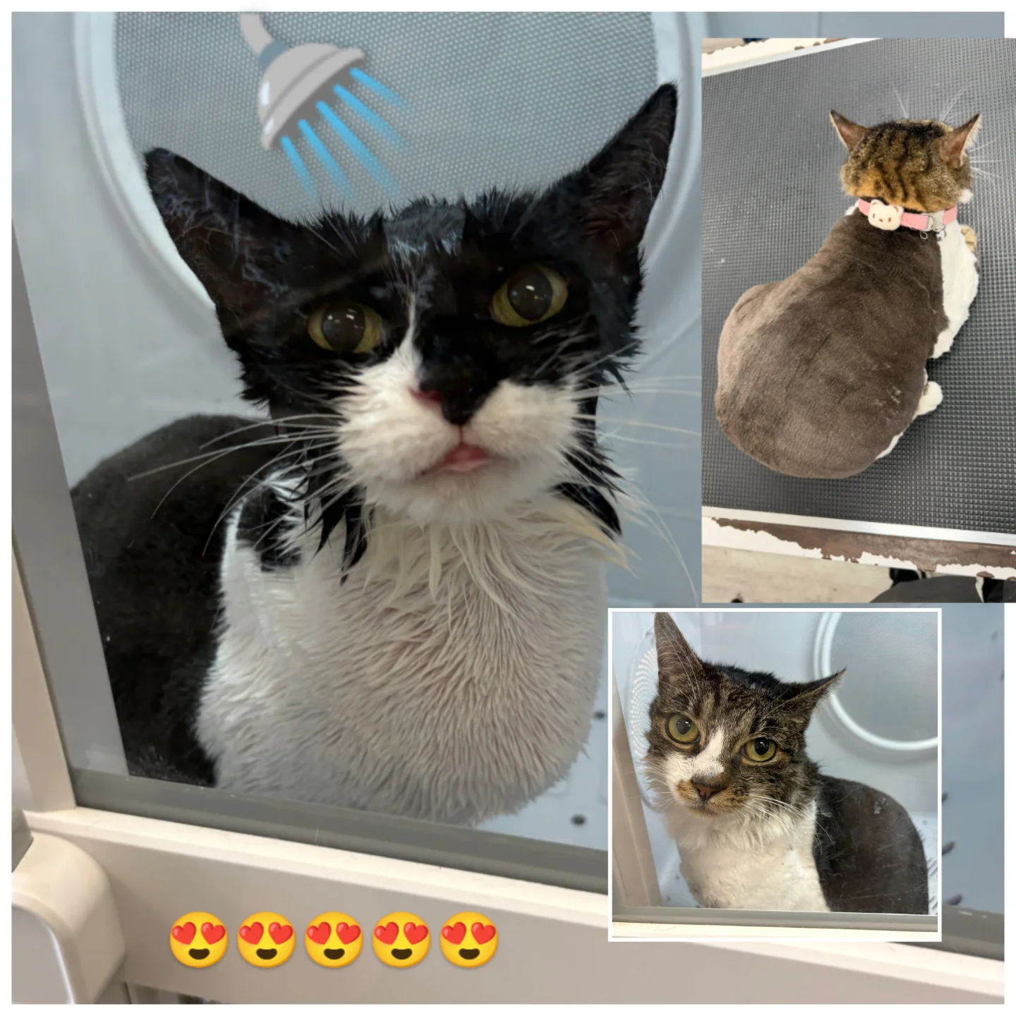 Post by larissasandiego