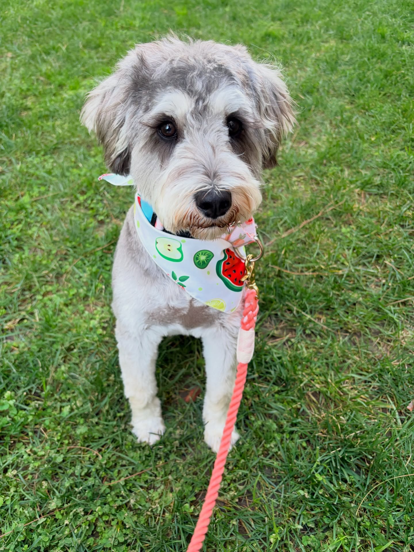 Post by one.fruitypebble