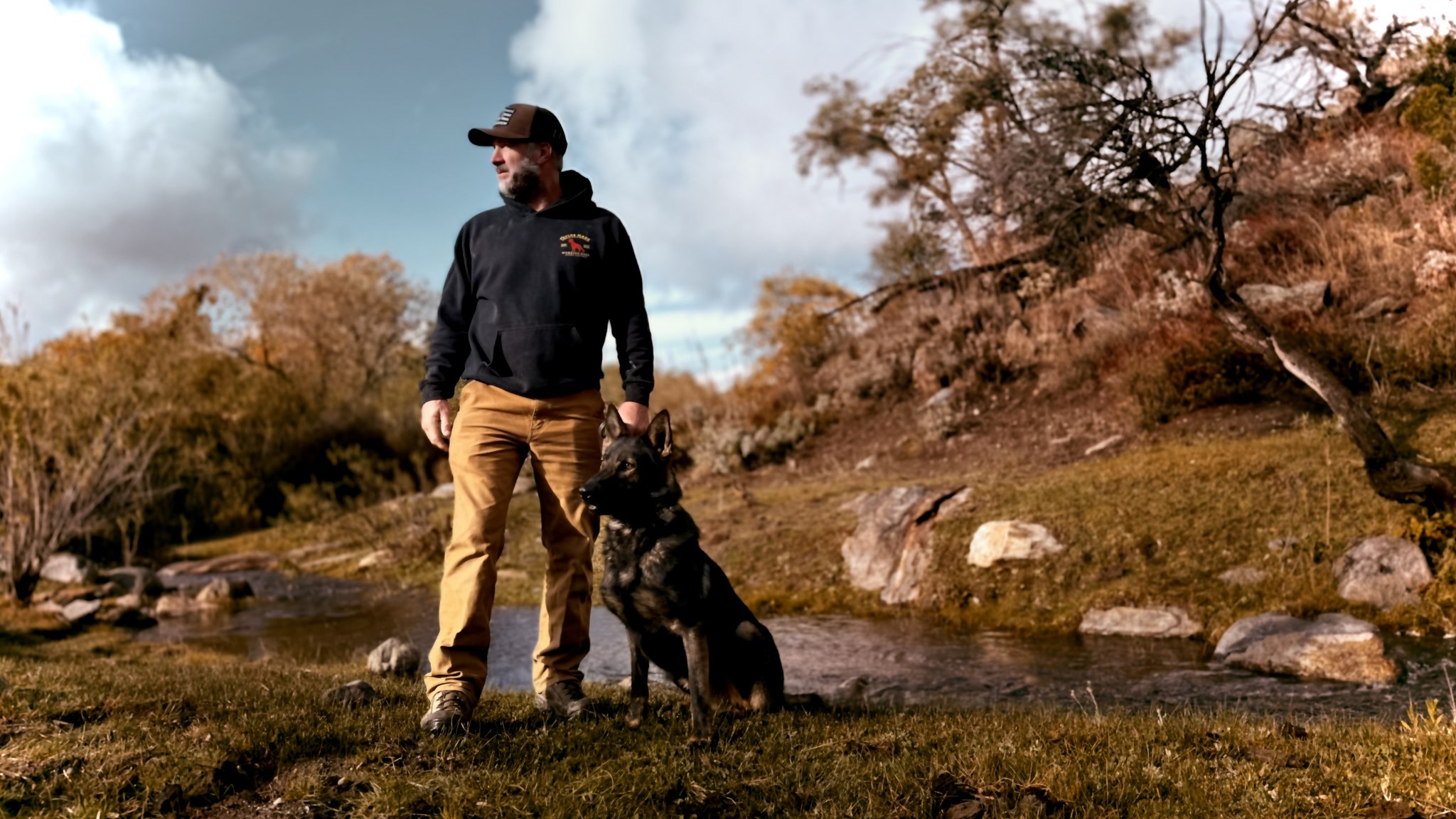 Taylor Made Working Dogs