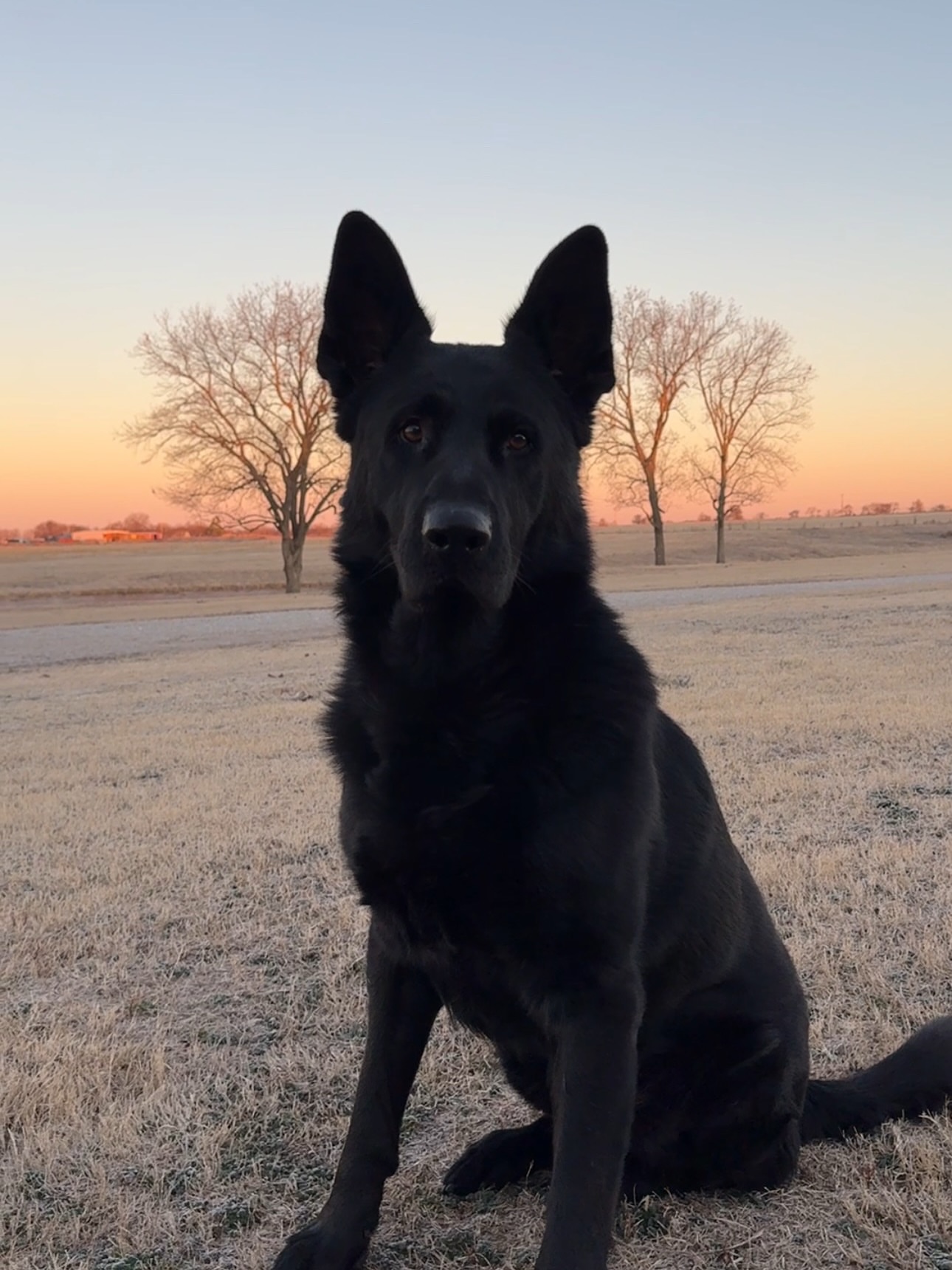 Post by theremnantranch