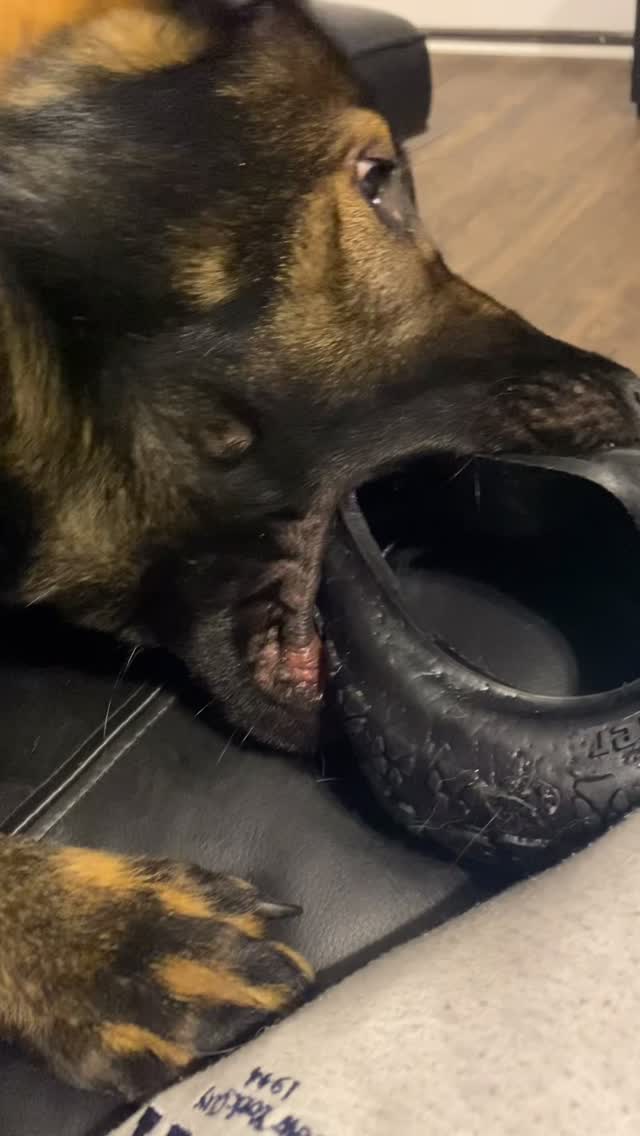 Post by russianspy2023