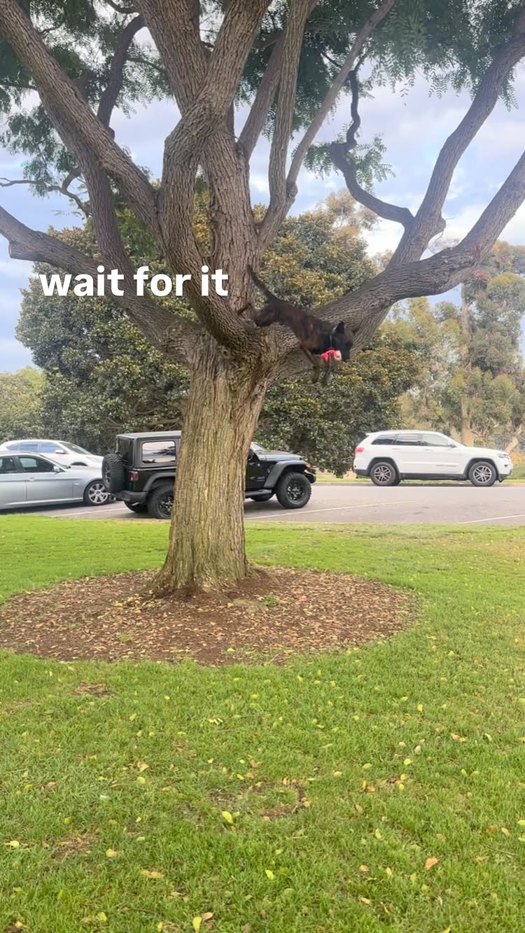 Post by jojosleatherimagination