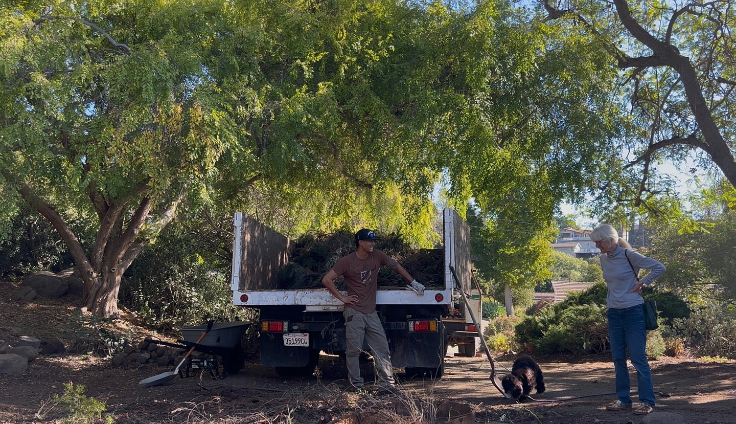 Post by evergreenarborlandscape