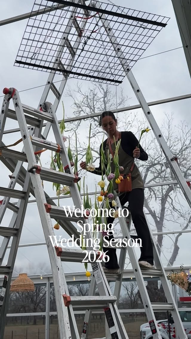 Post by jo.anfloraldesign