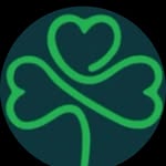 irishbusinessnetworkaustin