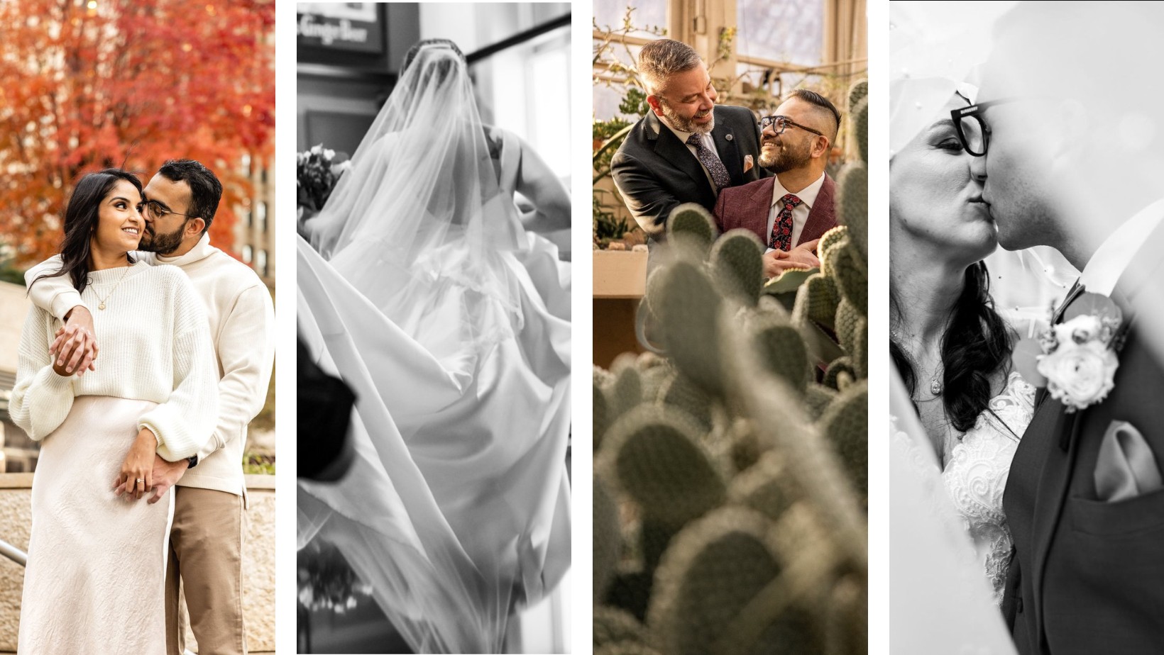 Alex Maldonado Photography