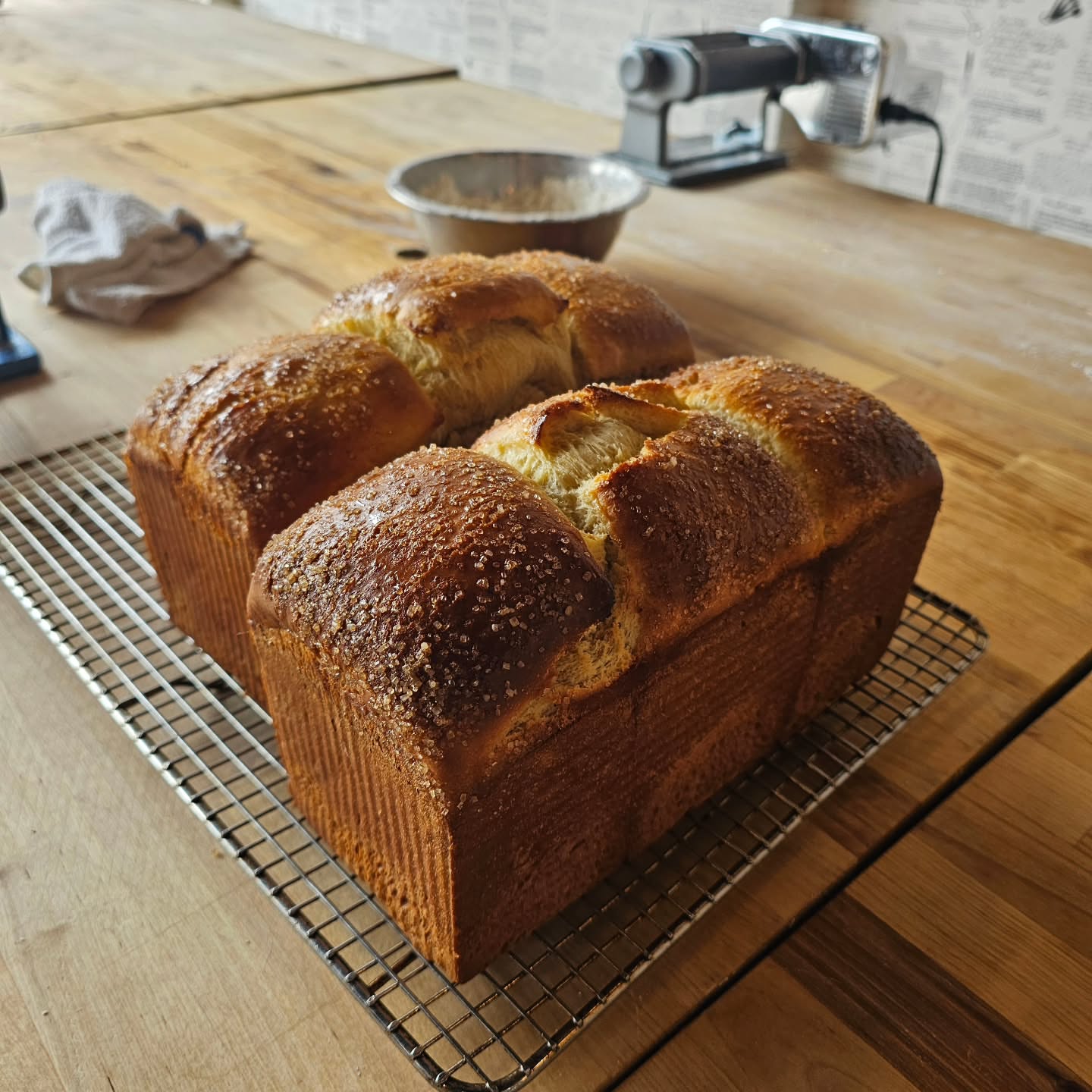 Post by follow.the.squirrel