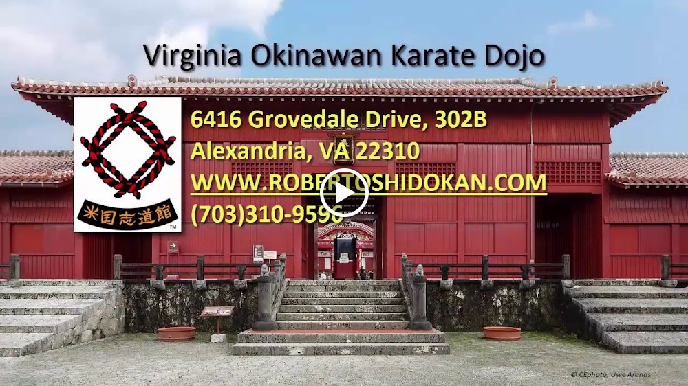 Virginia Dojo logo