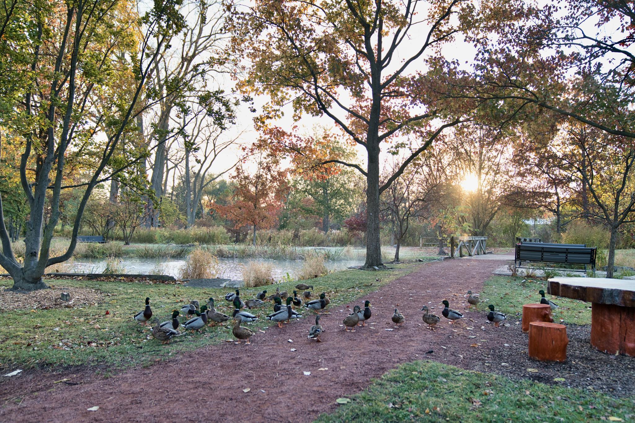 Nicole Jones Photography