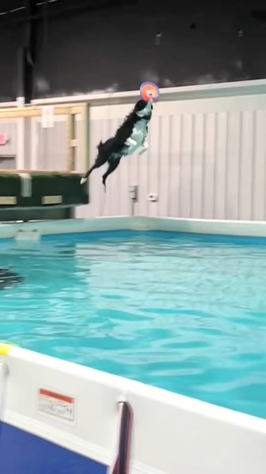 Post by Holli Willmon