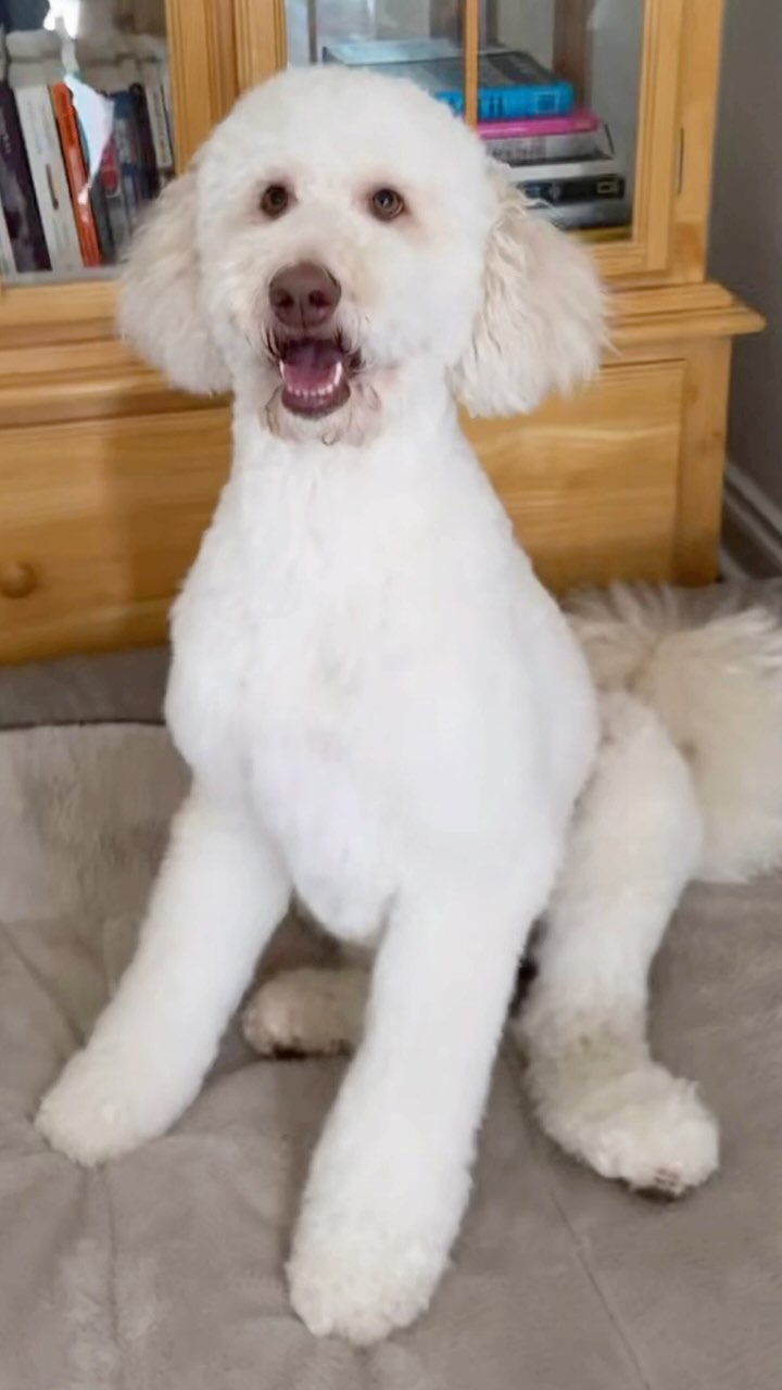 Post by jillianmariewander