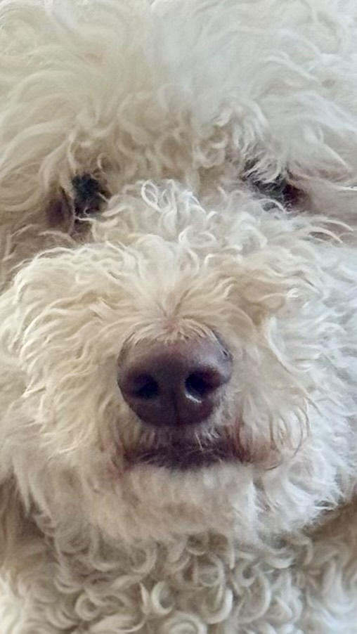 Post by chloedoesnthaveig