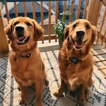 chanceandbolt_advntrs