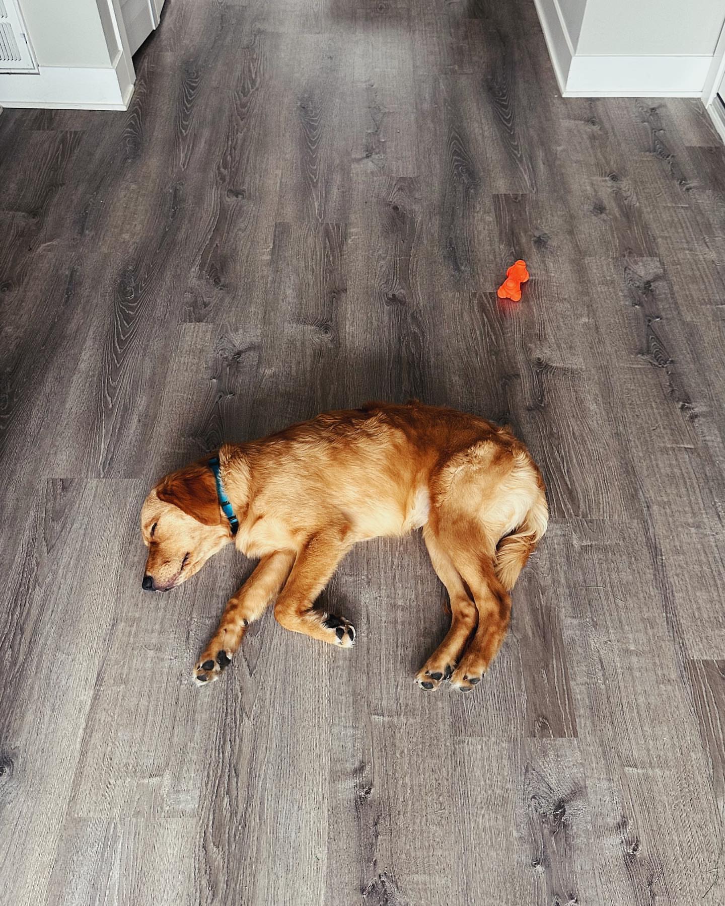 Post by chanceandbolt_advntrs