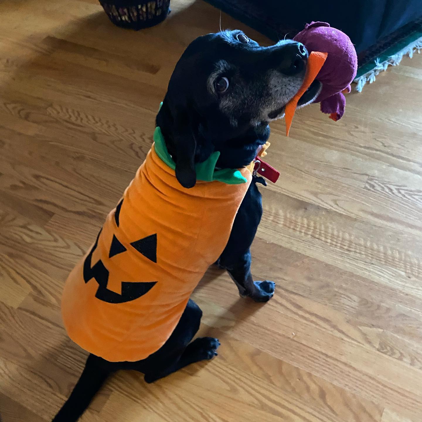 Post by audreyelise17