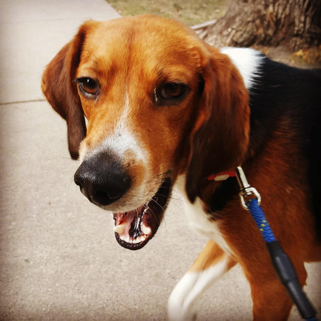 Post by baileyboohaley13