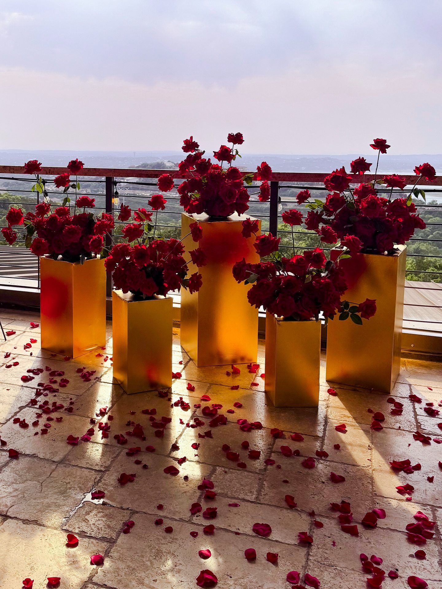 Post by fieldling.floral