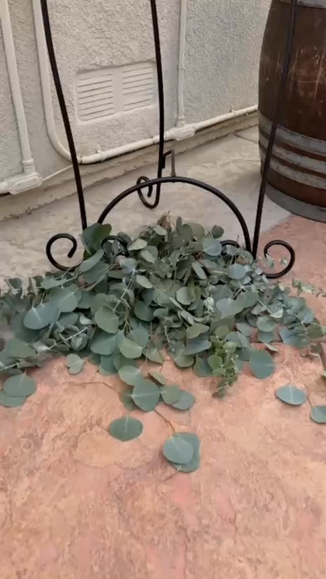 Post by loyaldreamdecor