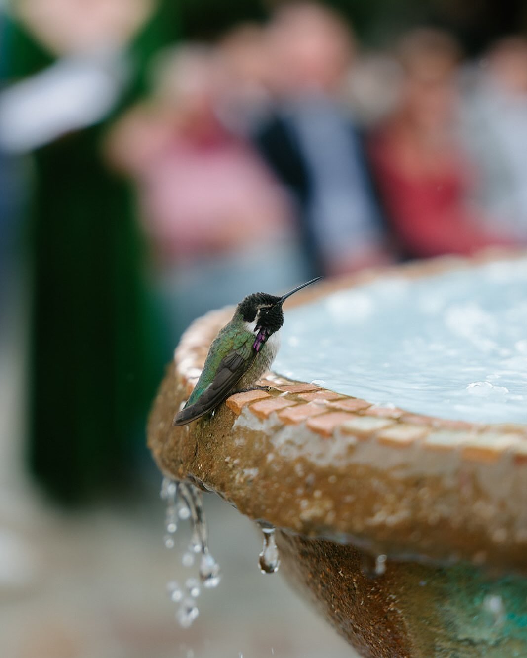 Post by hostesshaven