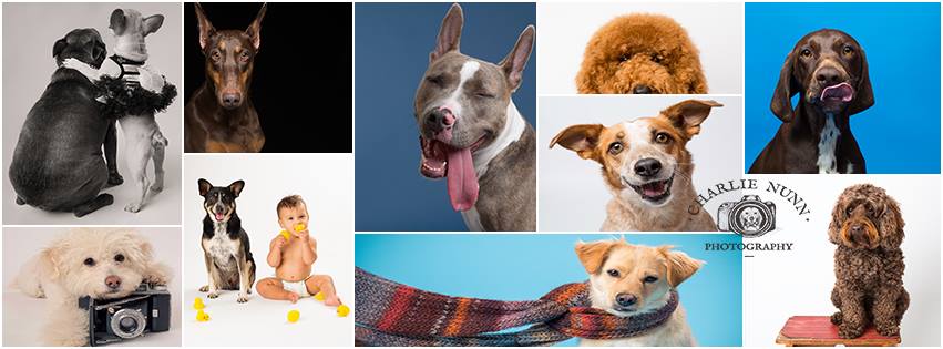 Charlie Nunn Photography