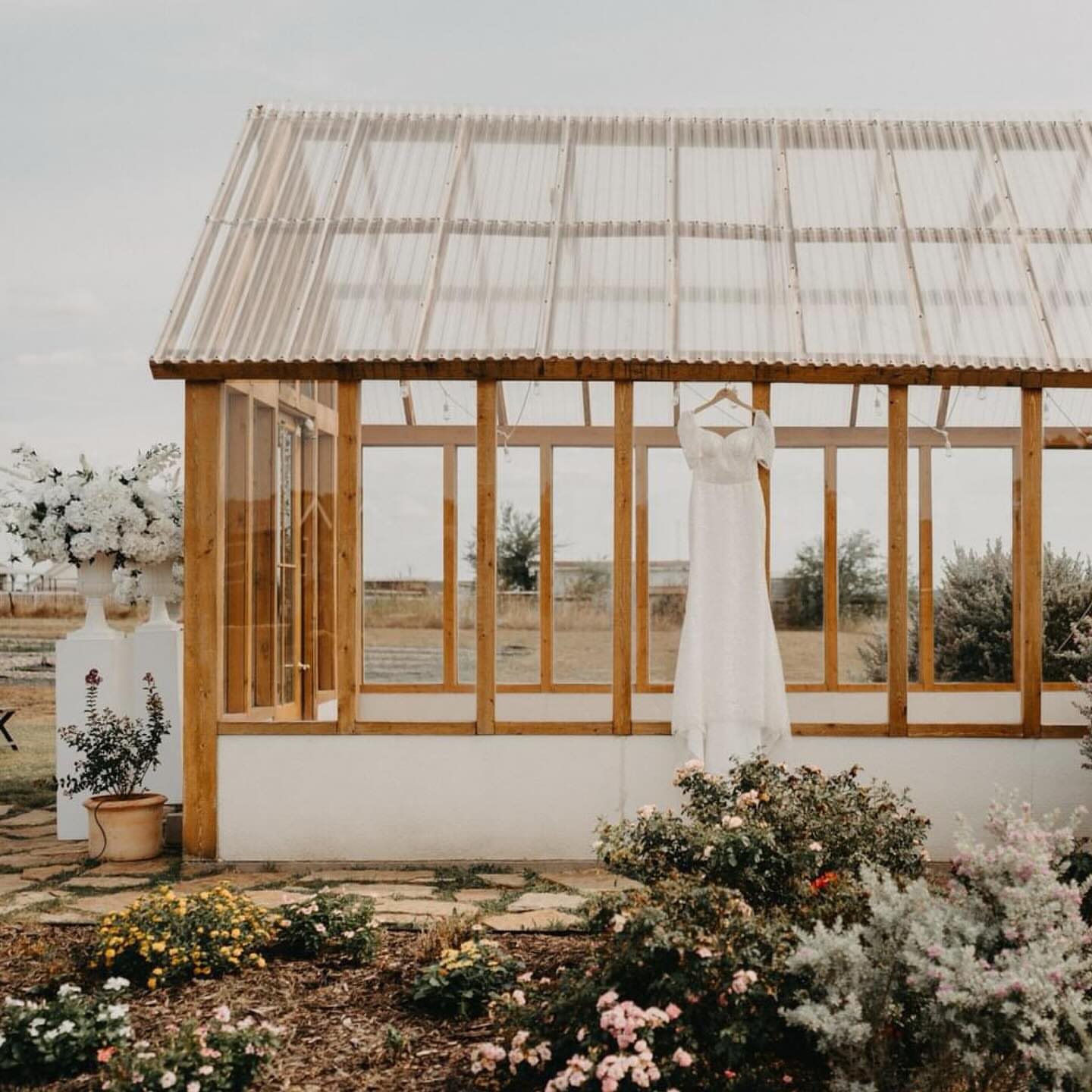 Post by stemandlight