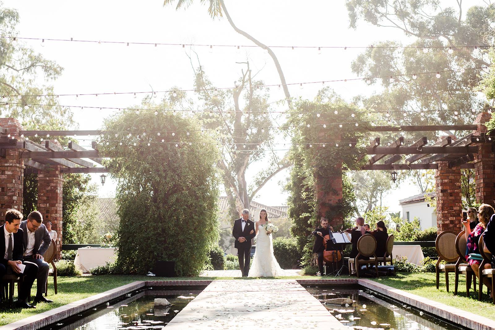 Organic String Quartet