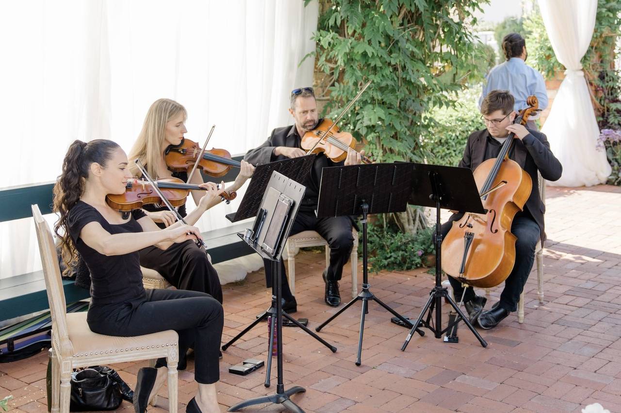 Organic String Quartet logo