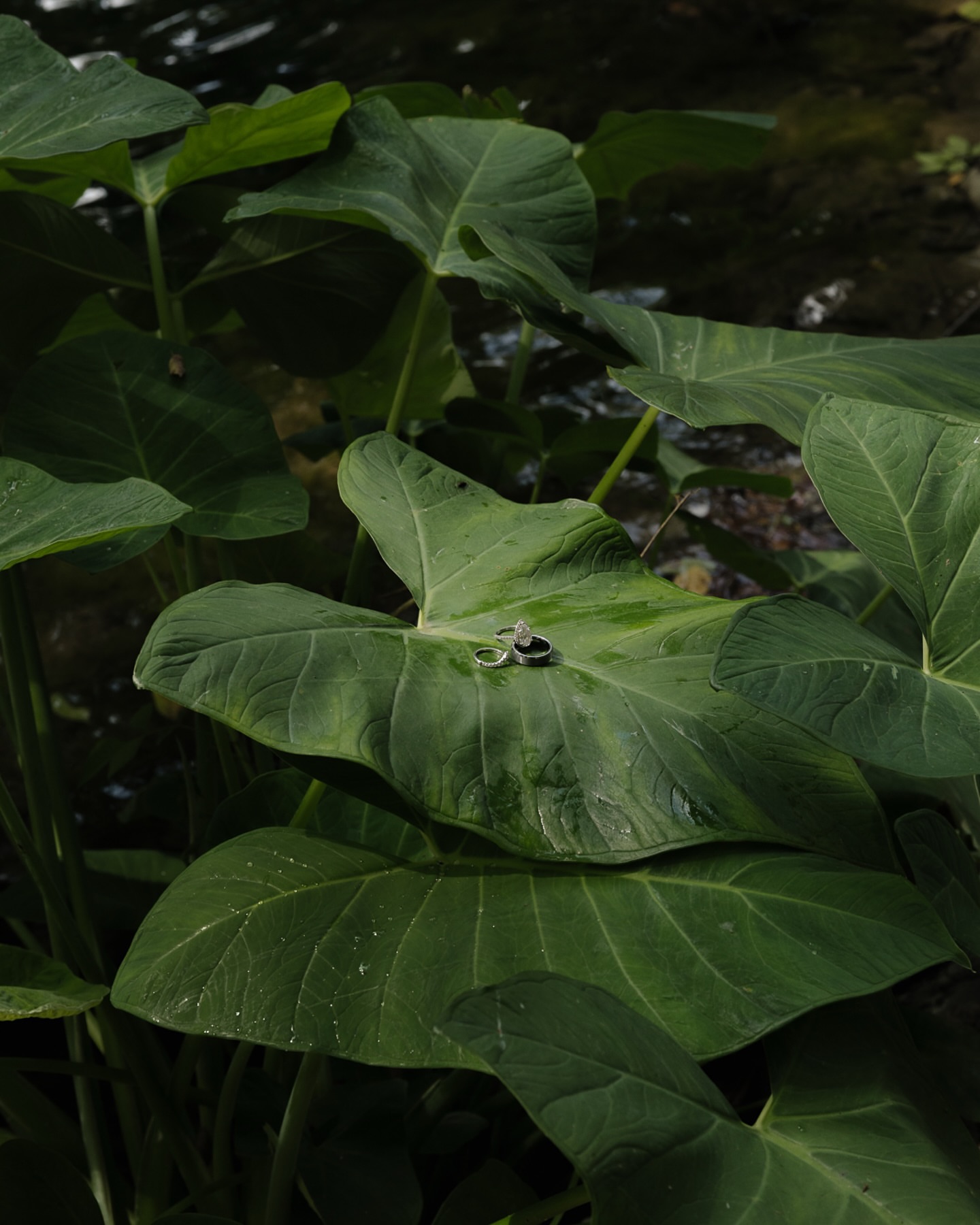 Post by hannah.lylenephoto