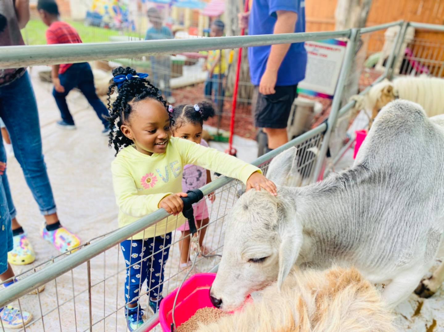 Post by Dallas Darlings Daycare Licensed Child Care Home