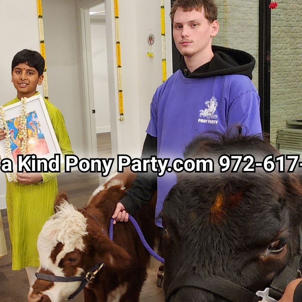A One of A Kind Pony Party logo