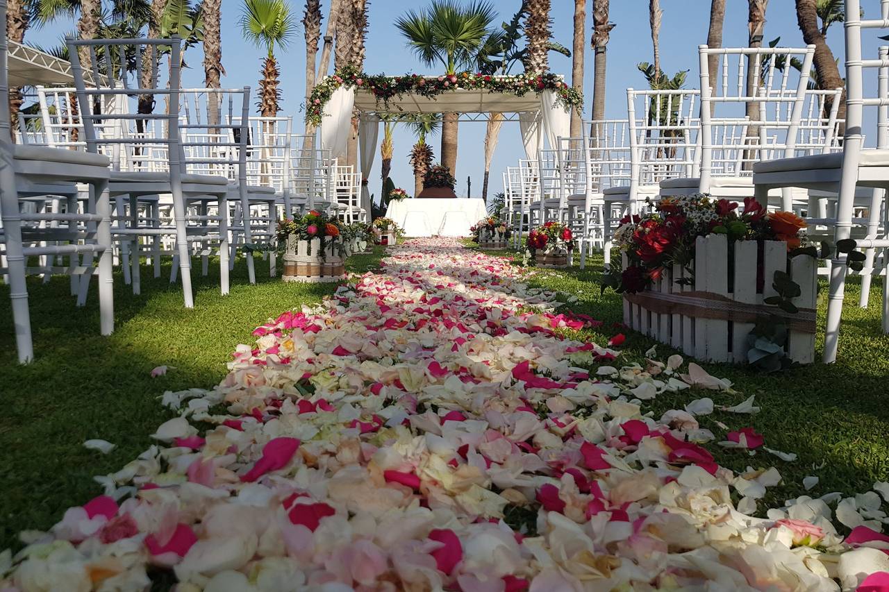 Il Tuo Fiorista logo