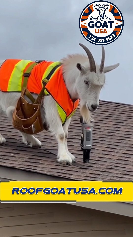 Post by dehuffpodcast