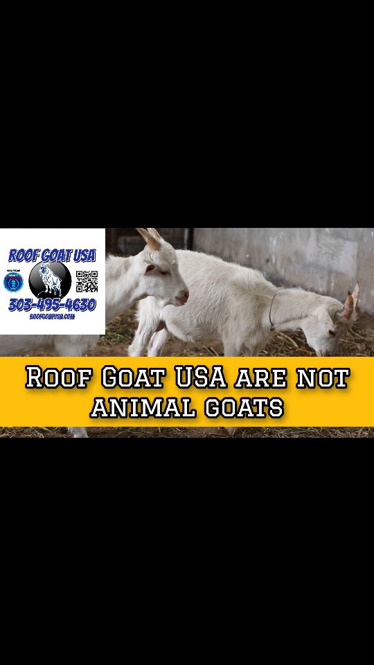 Post by dehuffpodcast