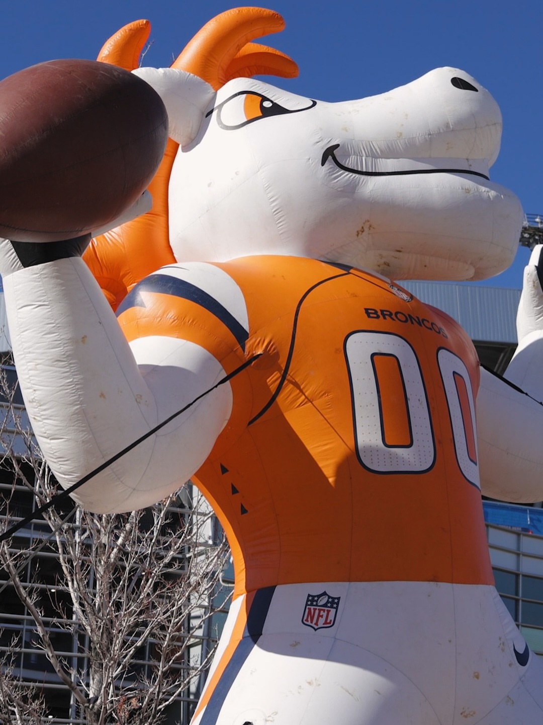 Post by steelrockfilms