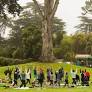 This Peaceful Outdoor Yoga Series Is Back On At SF Botanical Garden