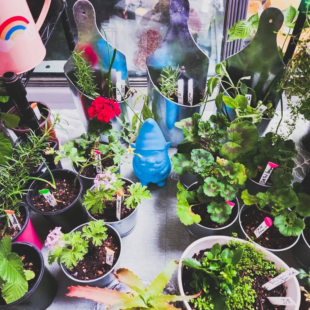 Post by planta.pedro