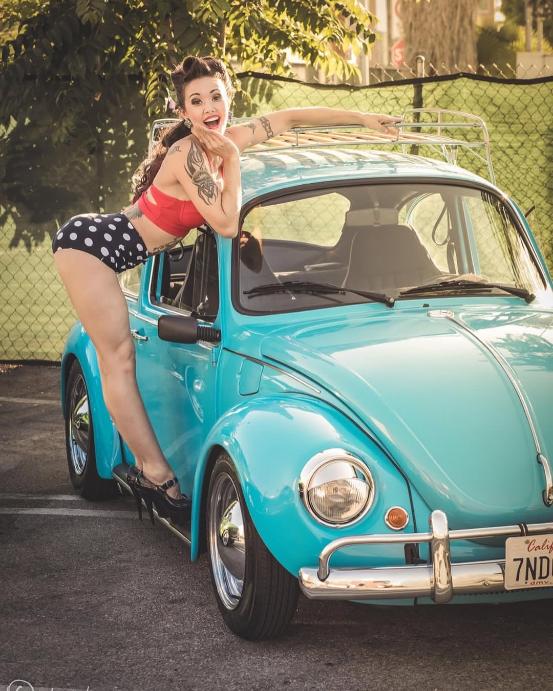 Post by vw_bugs_n_babes