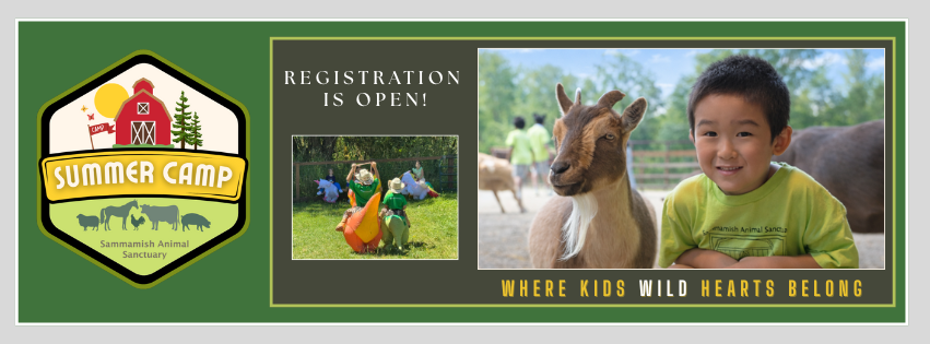 Sammamish Animal Sanctuary