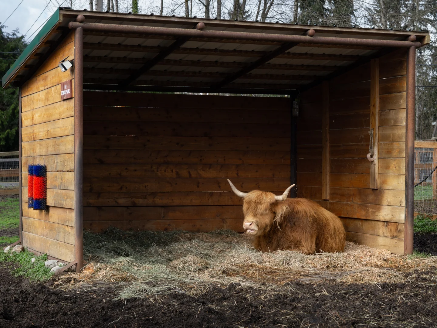 Post by purrciousbeans_photography