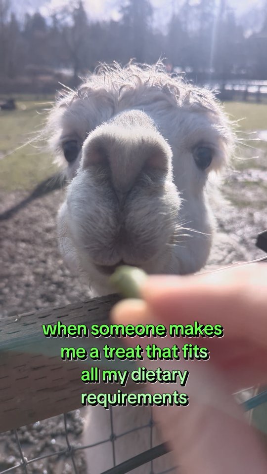 Post by lilykerriganpresents