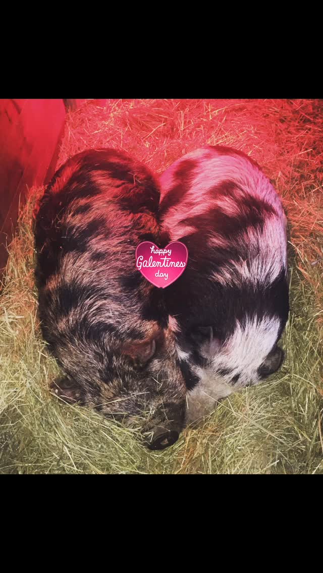 Post by chaitanyavembar