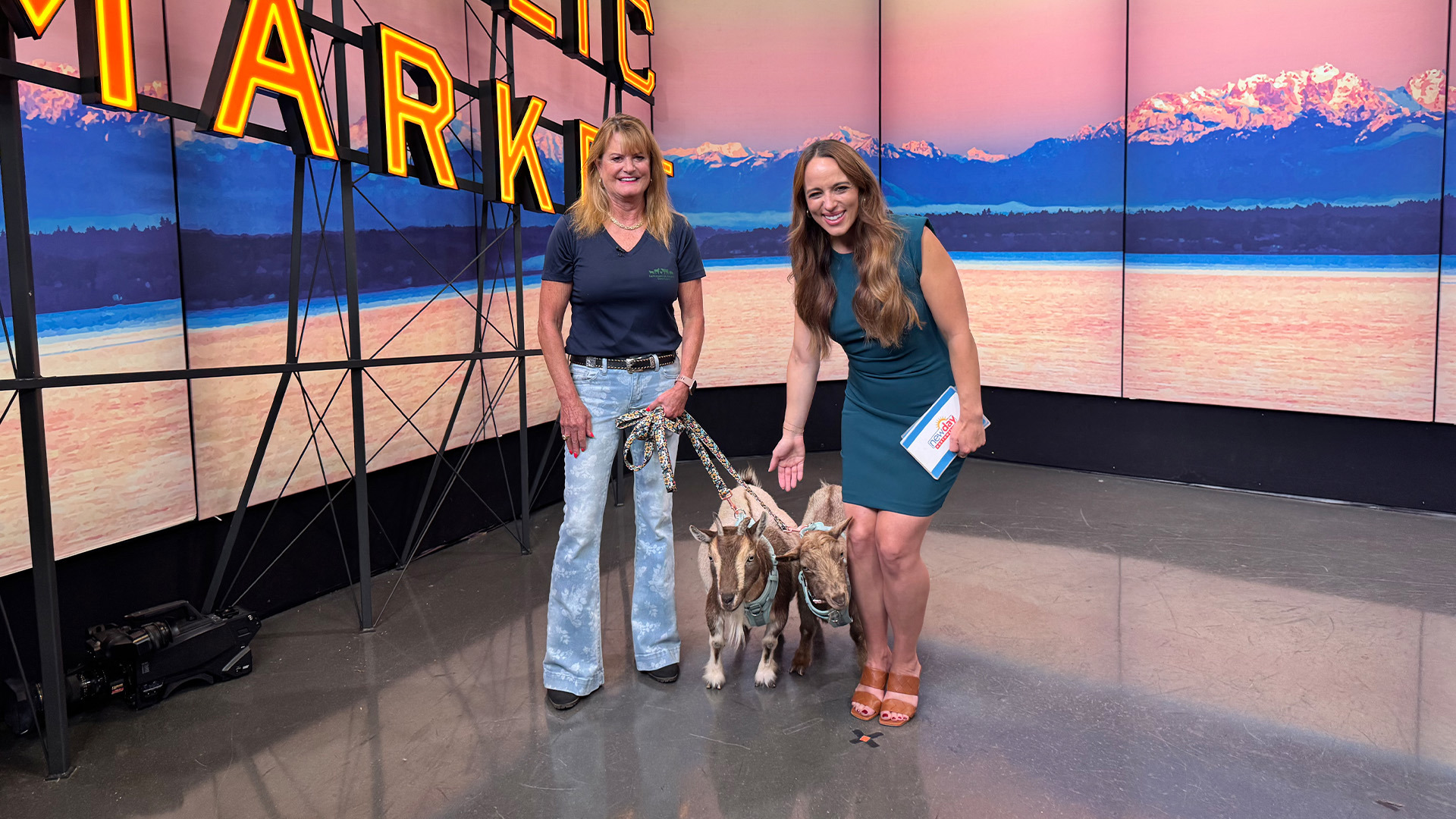 Sammamish Animal Sanctuary provides a safe haven for animals on the eastside - New Day NW