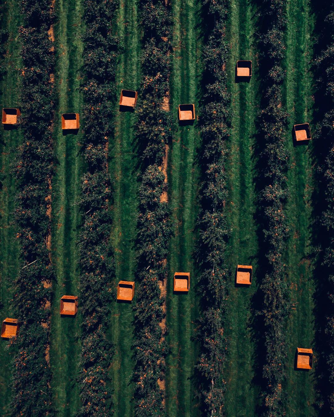 Post by cedricth3gr8