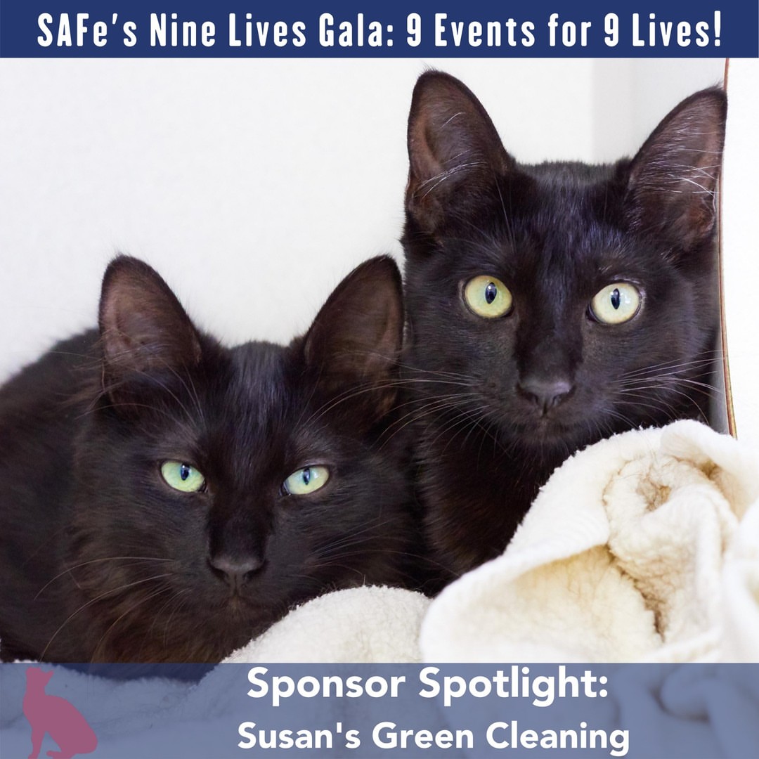 Post by seattleareafelinerescue