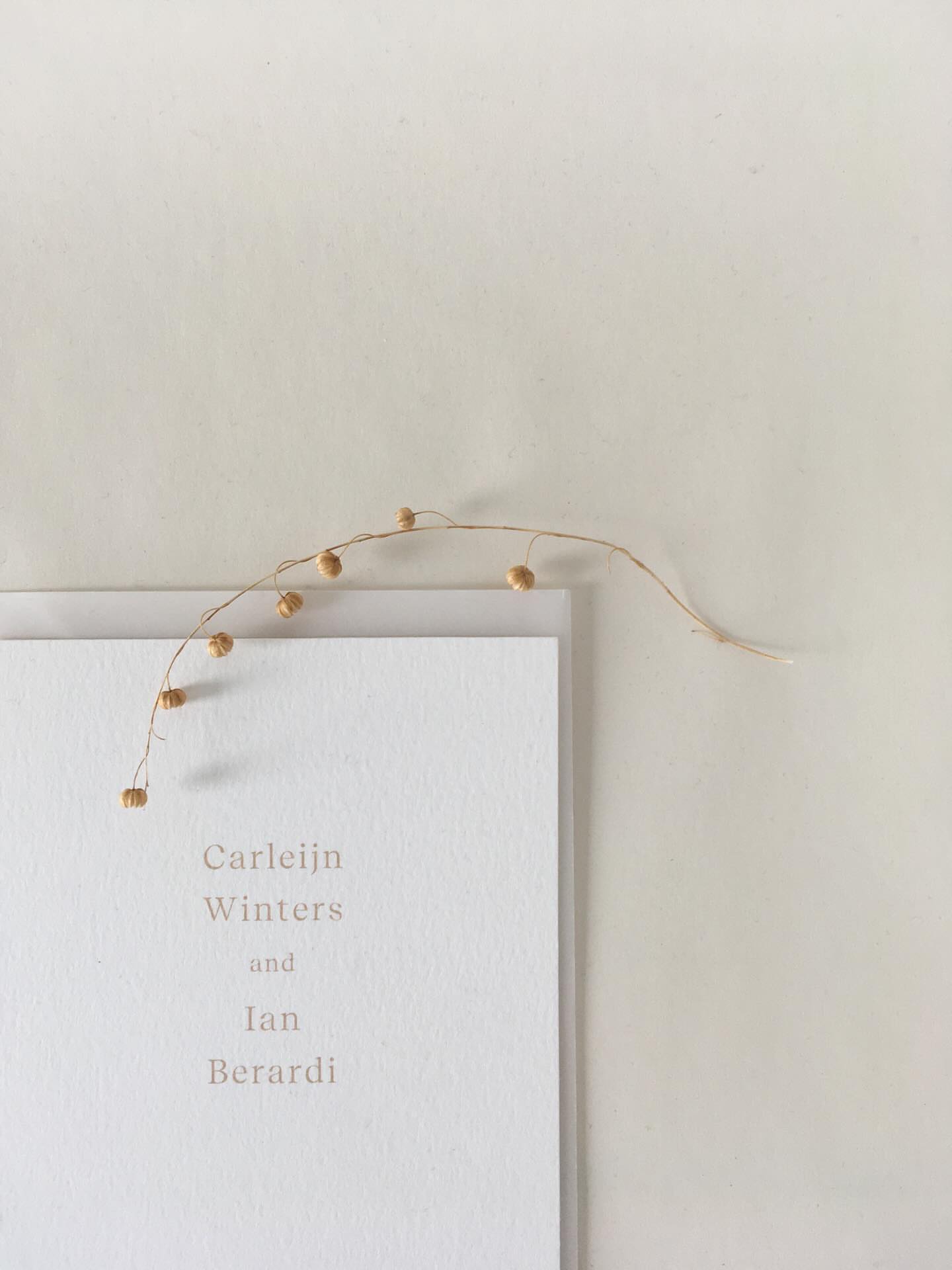 Post by acetatelaboite