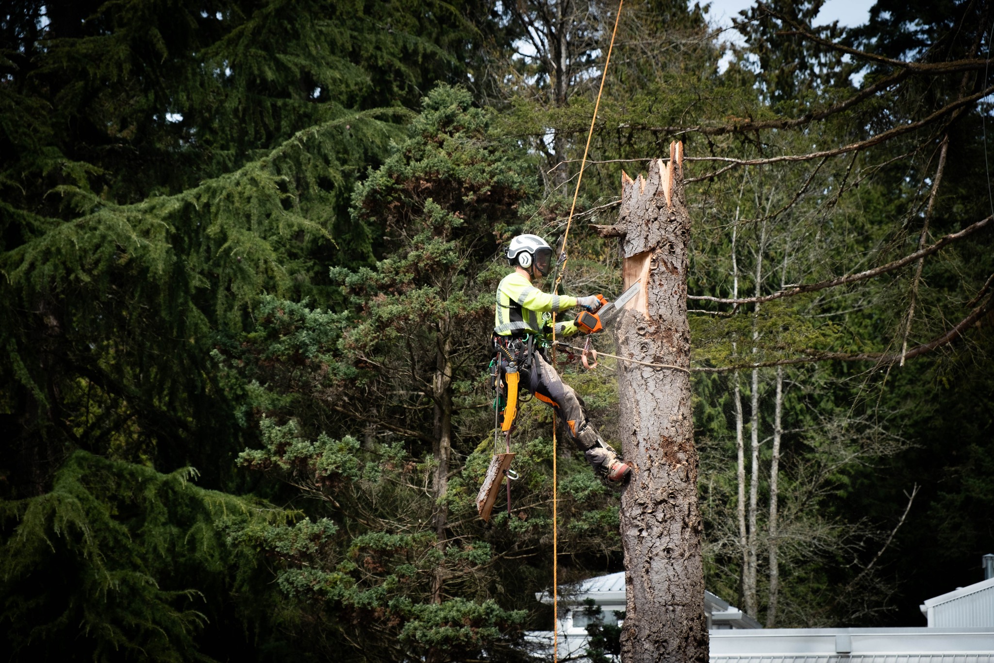 Post by The Little School