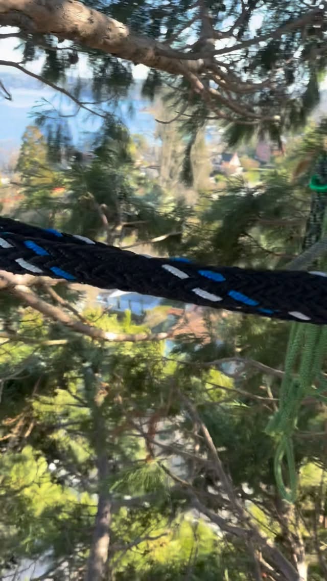 Post by sherwoodtree