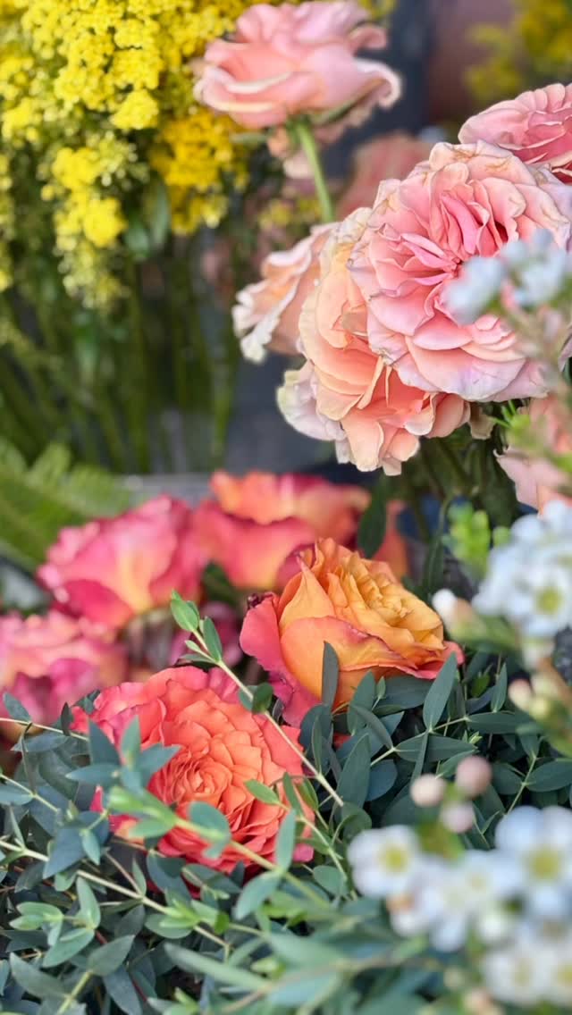 Post by the_dwelledit