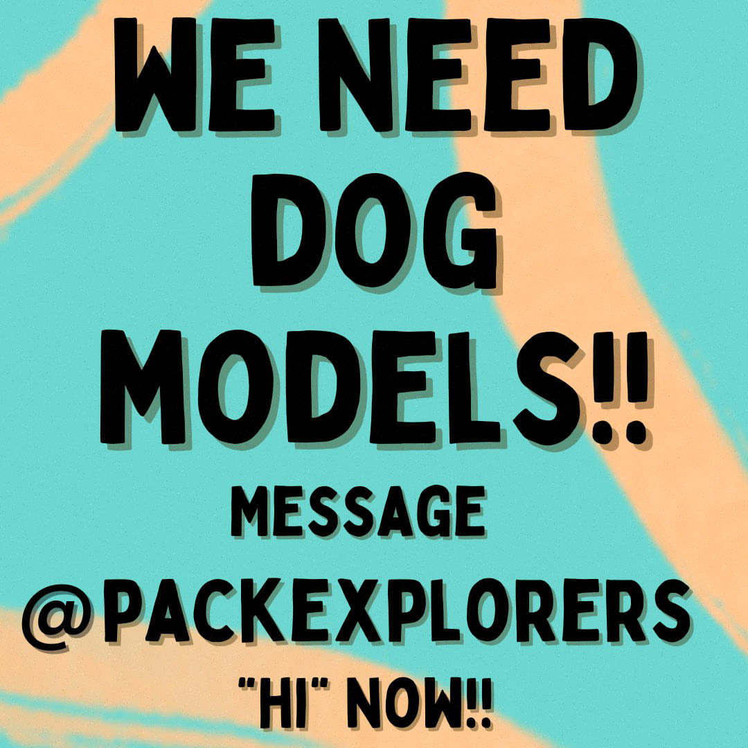 Post by haticefendt602